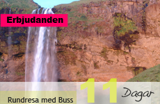 Islands vildmark – Busstur