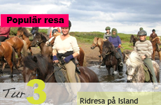 Ridresa på Island